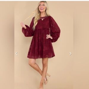 Red Dress Boutique Mini Burgundy Burnout Dress